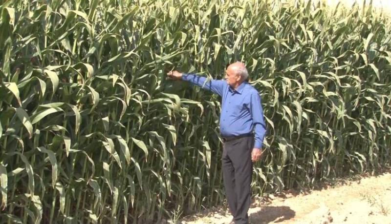 کمبود کود کشاورزی در جنوب استان